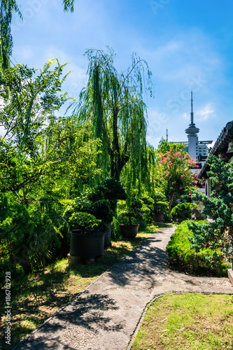 nature outdoor park and street road footpath photo