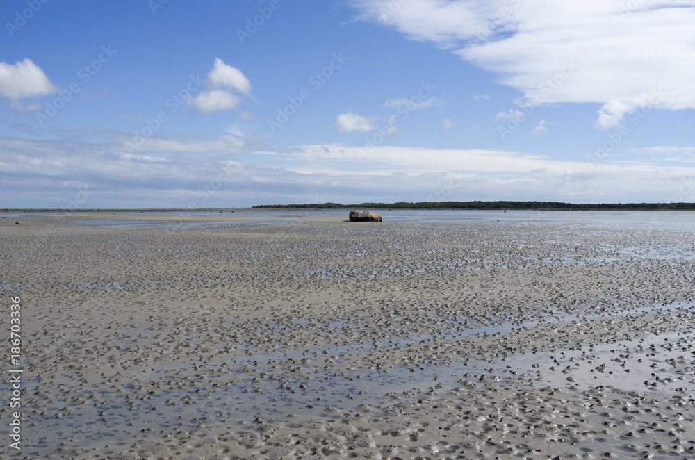 Laesoe / Denmark: Mudflat area with erratic boulder in the south of the island