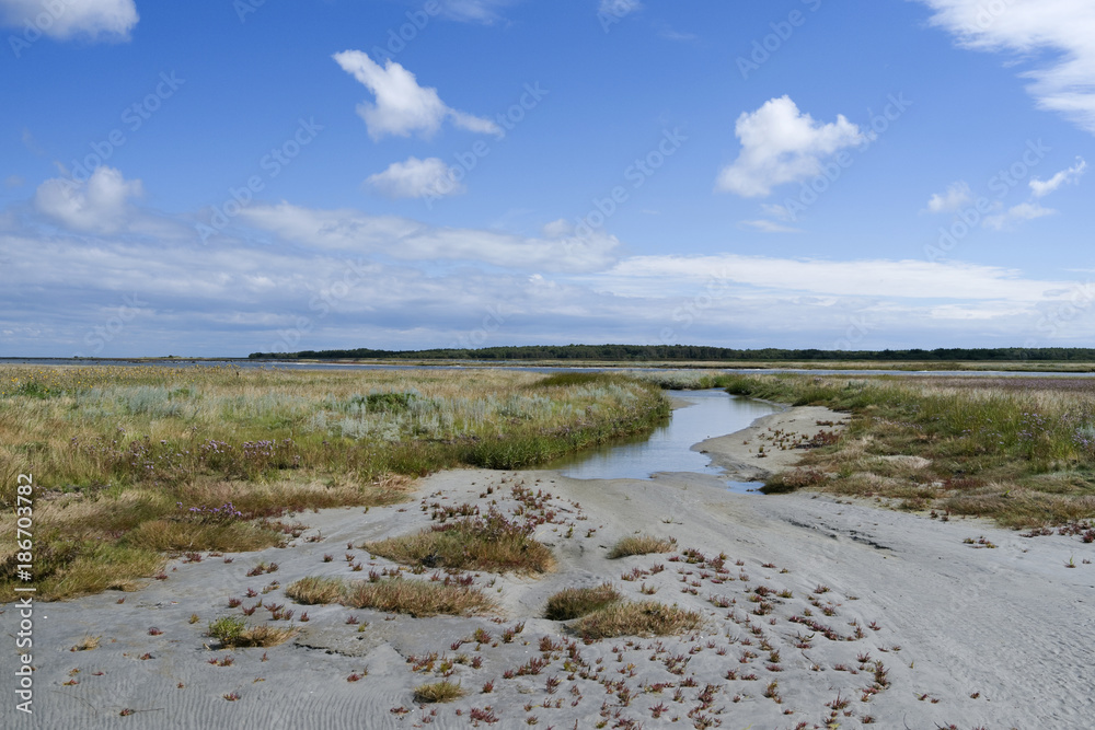 Laesoe / Denmark: Little salt marsh island in the south of the island