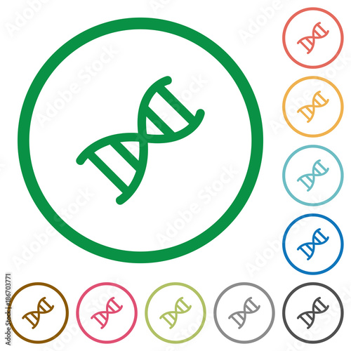 DNA molecule flat icons with outlines