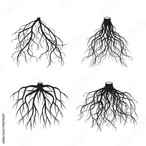 Set of Black Roots Tree. Vector Illustration.
