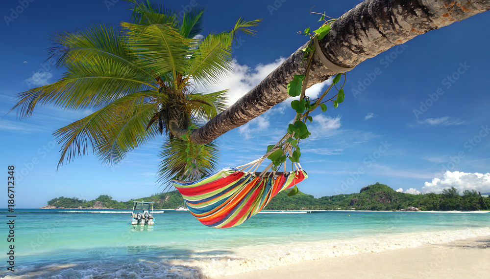 Palmen im Urlaub StockFoto Adobe Stock
