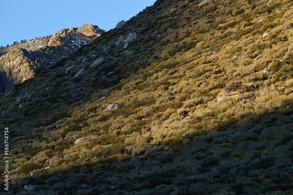 The Sherwin Range at dawn, Inyo National Forest, Sierra Nevada, California