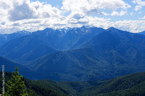 View from Deer Park Campground, Olympic National Park © tristanbnz