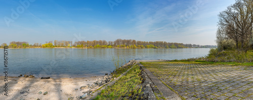Am Hessischen Rheinufer bei Nordheim