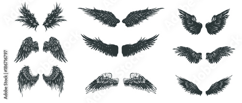 Fotografie, Obraz Wings set. Hand drawn detailed wings collection.