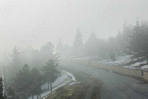 A view from the winter season