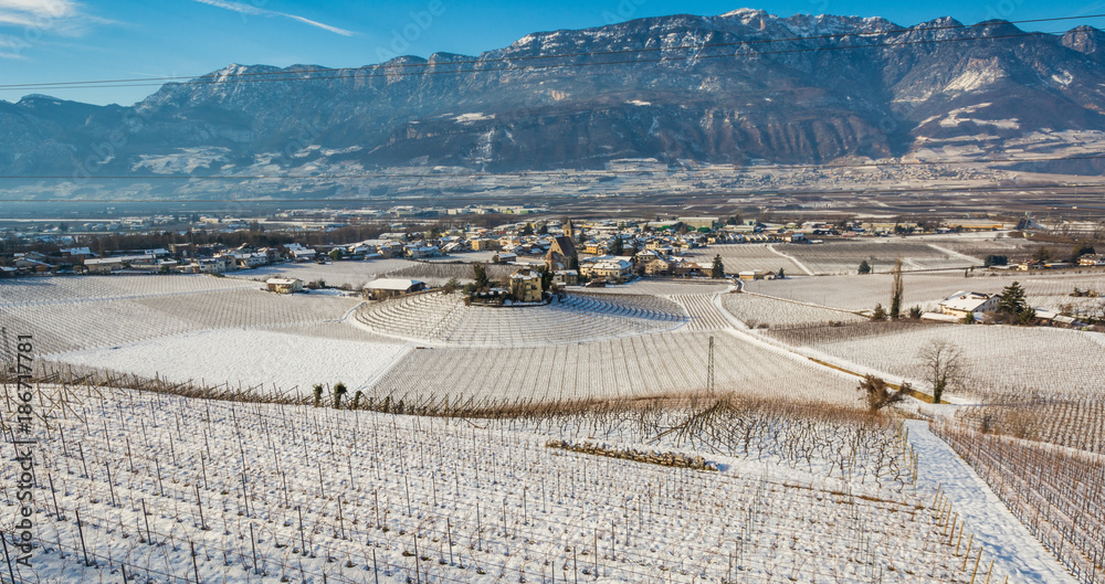 Naklejka premium winter vineyards landscape, covered with snow. Trentino Alto Adige, Italy. Main economic factors are viticulture along the South Tyrolean Wine Route from Terlan to Salorno, fruit growing and tourism.