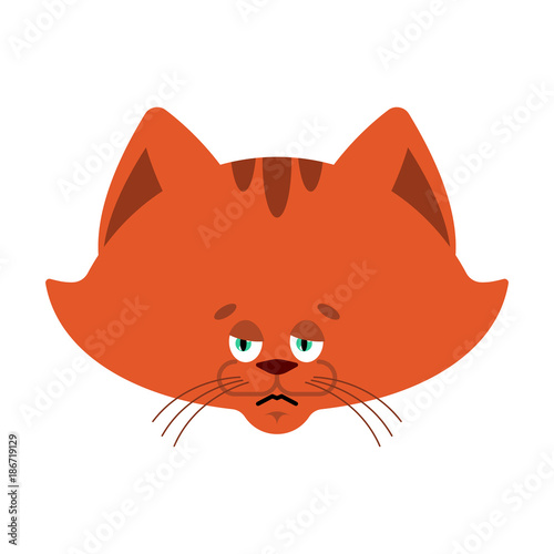 Cat sad emoji. Pet sorrowful emotions. kitty dull. Vector illustration