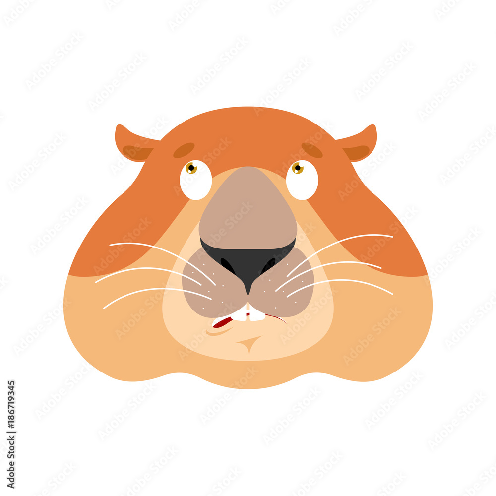 Groundhog confused emoji oops. Woodchuck perplexed emotions. Marmot