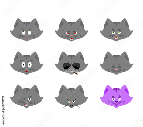 Cat set emoji avatar. sad and angry face. guilty and sleeping. Pet sleeping emotion face. Kitty Eggplant. Vector illustration