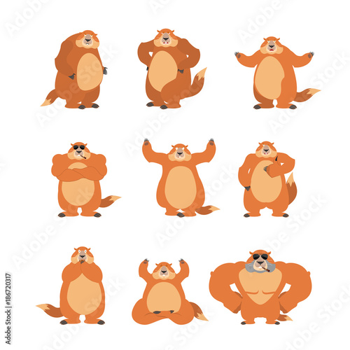 Groundhog set poses and motion. Woodchuck happy and yoga. Marmot sleeping and angry. guilty and sad. Groundhog day Vector illustration