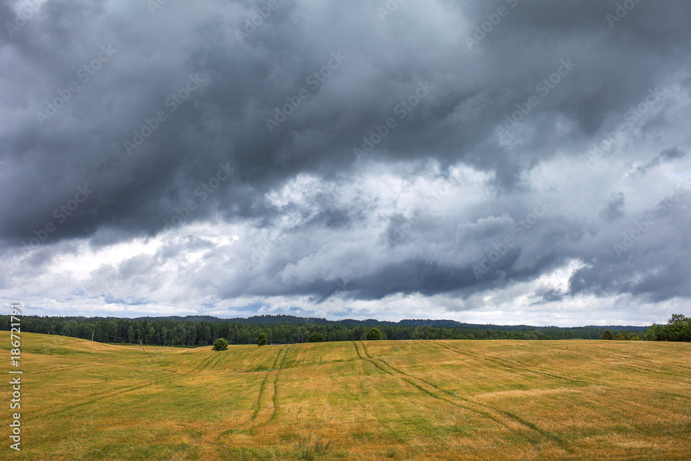 Cloudy summer afternoon in latvian countryside.