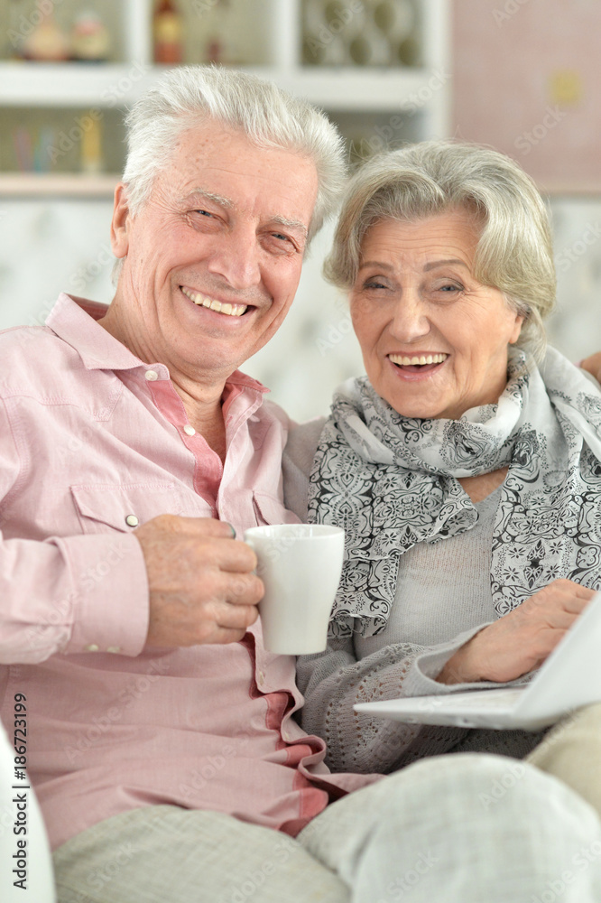 beautiful senior couple using laptop at home beautiful senior couple using laptop at home