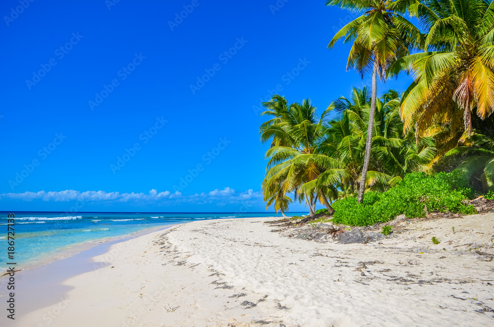 Gorgeous tropical beach on a background clear blue sky