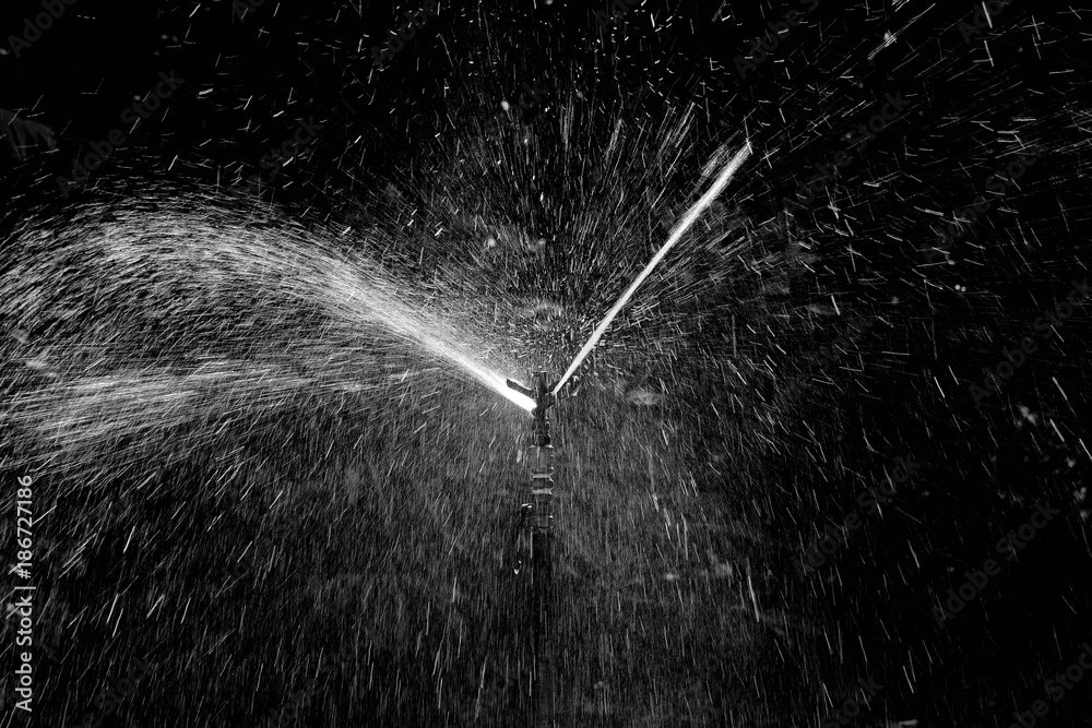 Lawn water sprinkler spraying a water - obrazy, fototapety, plakaty 