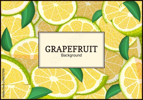 Rectangular label on citrus grapefruit background. Vector card illustration. Tropical juicy green pomelo frame peeled piece of half slice for design of food packaging juice breakfast, tea diet juce