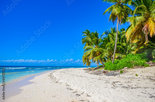 Gorgeous tropical beach on a background clear blue sky