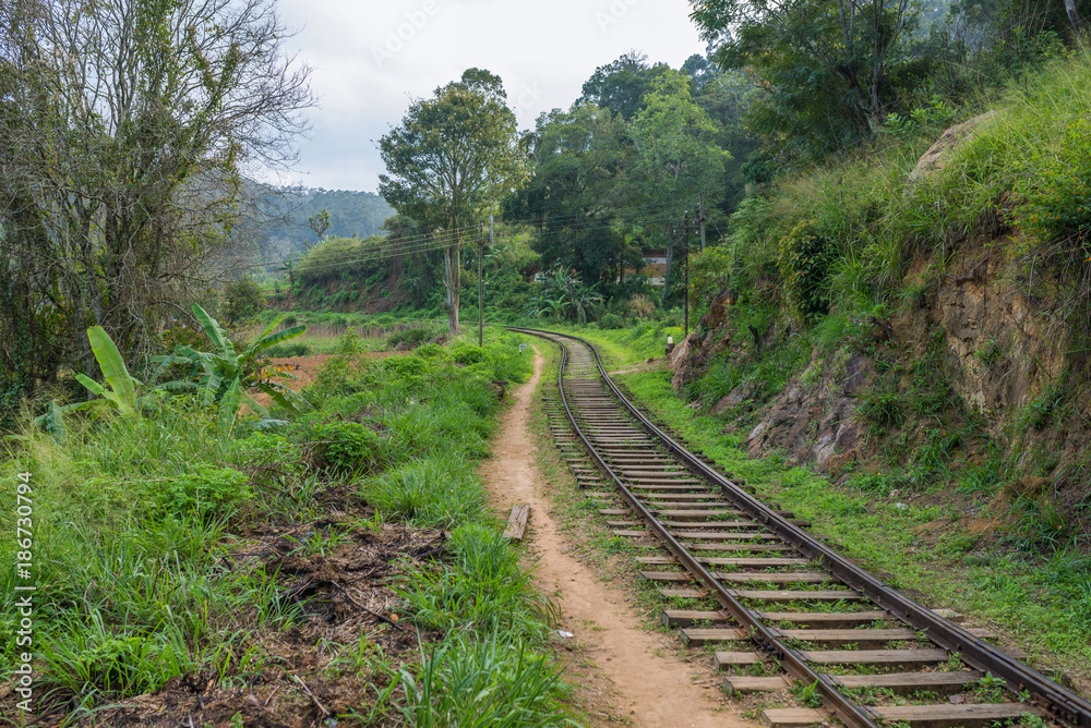Rail track from the Main Line, a major railway line in the rail network of the country, in the highlands of Sri Lanka. Cross-country it is leading from Colombo to Badulla. The photo is close to Ella