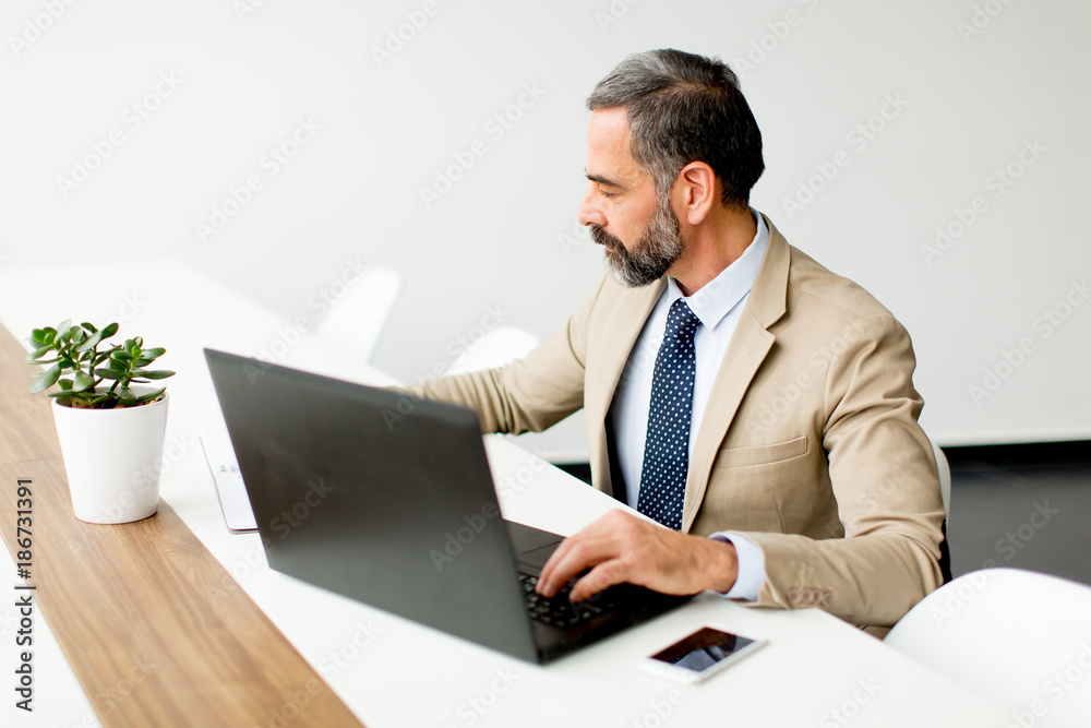 Senior businessman working on laptop computer in office Senior businessman working on laptop computer in office