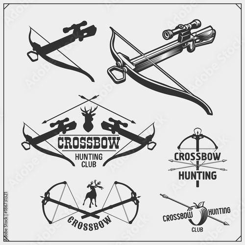 Set of archery sports emblems, labels and design elements. Vector illustration.