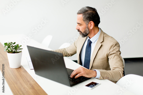 Senior businessman working ...