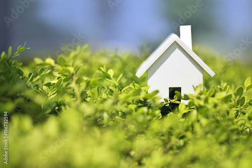 House on grass leaves