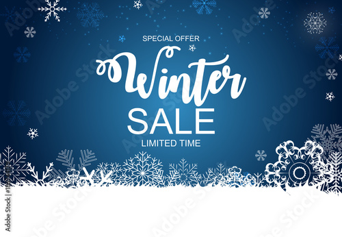 Winter Sale Background Special Offer Banner Background for Business and Advertising. Vector illustration.