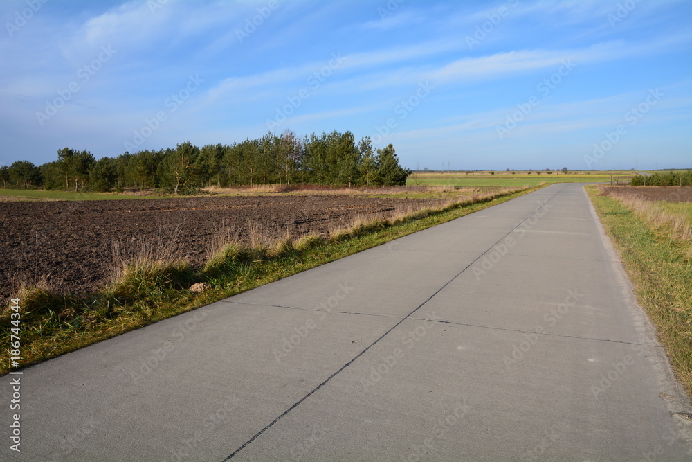 droga betonowa przez pola i lasy