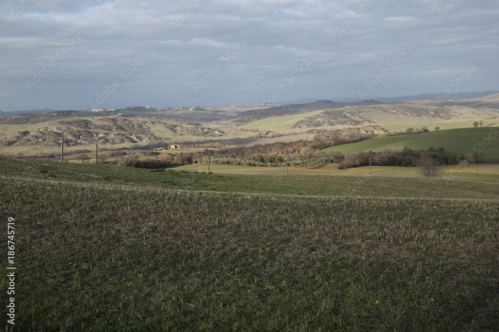 Obraz premium strada di campgna
