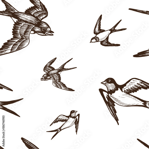 Vector illustration sketch Swallow. Pattern bird.