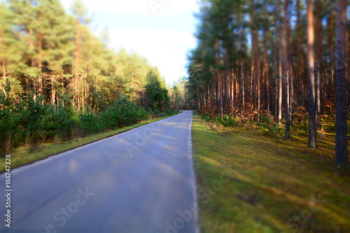 Fototapeta Naklejka Na Ścianę i Meble -  droga asfaltowa przez las