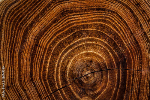 Acacia wooden dark texture background