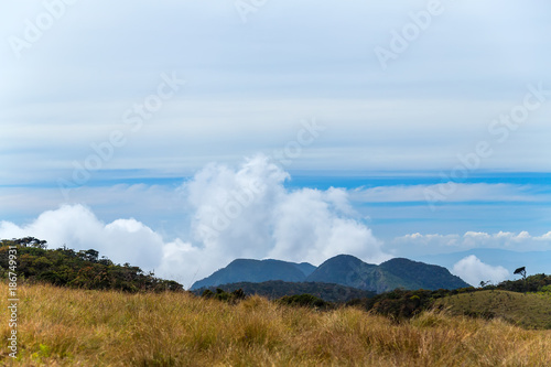 Horton Plains National Park highlands of Sri Lanka and is covered by montane grassland and cloud forest. Ceylon, Asia.