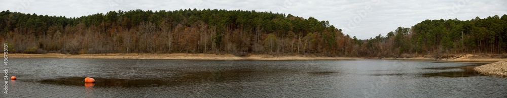 Nature Nature