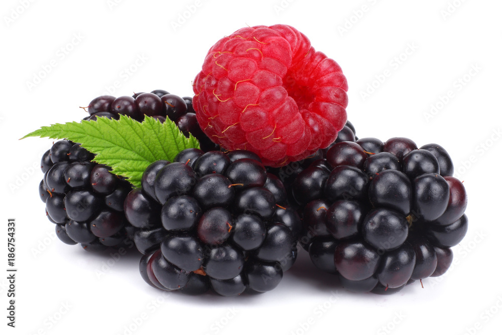 blackberries with raspberries and green leaf isolated on white background. macro blackberries with raspberries and green leaf isolated on white background. macro