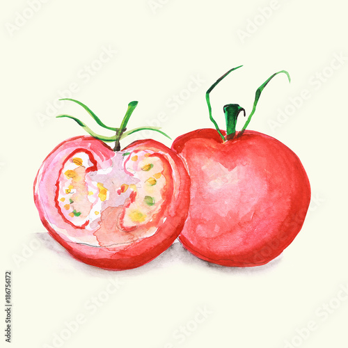 pomidor - ilustracja ręcznie malowana