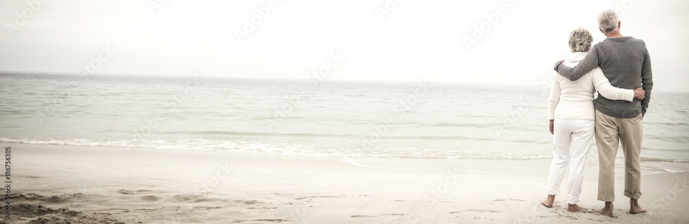 Rear view of senior couple embracing at beach - obrazy, fototapety, plakaty 