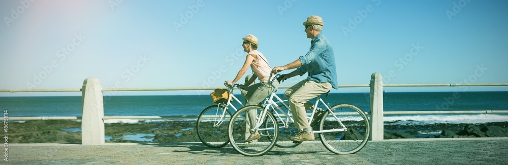 Obraz premium Full length of couple riding bicycles