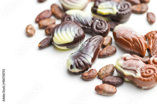 Sweet chocolate seashells and cocoa beans.