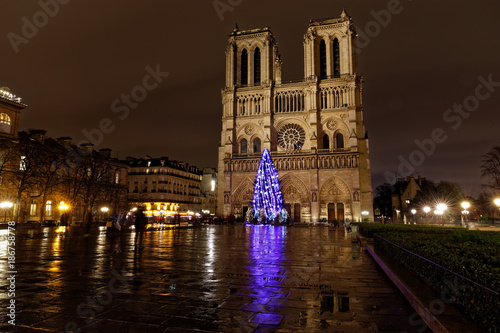 Paris, France - December 7, 2017: Christmas tree in front of the Notre Dame cathedral in the evening. Paris, France.