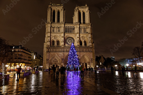 Paris, France - December 7, 2017: Christmas tree in front of the Notre Dame cathedral in the evening. Paris, France.