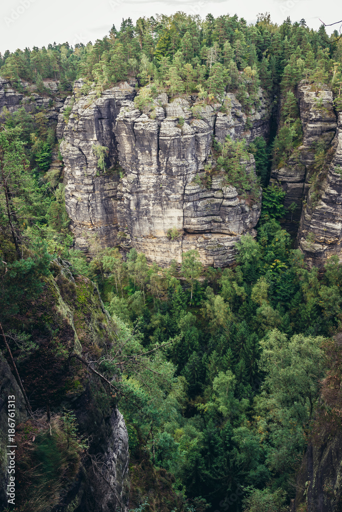 Rocks near Pravcice Gate in Bohemian Switzerland region in Elbe Sandstone Mountains, Czech Republic