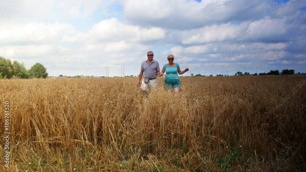 High quality video of senior couple walking in the wheat field in 4K High quality video of senior couple walking in the wheat field in 4K
