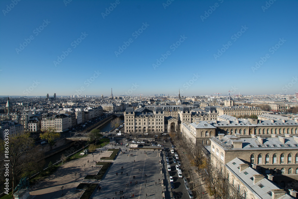 The city of Paris viewed from the Notre Dame Cathedral.