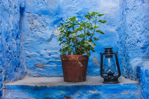 Detail of a lamp and a plant in the Santa Catalina Monastery, Arequipa, Peru © Giulio