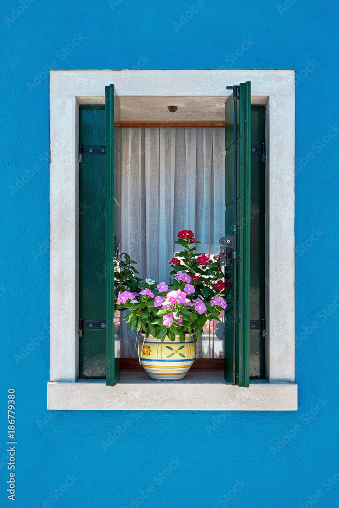 Window with shutter and flowers in the pot. Italy, Venice, Burano