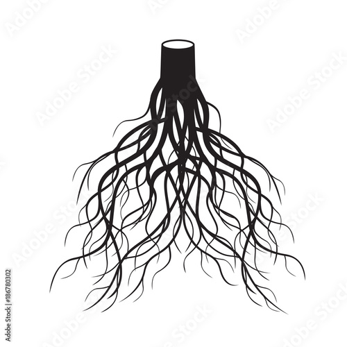 Black Roots Tree. Vector Illustration.