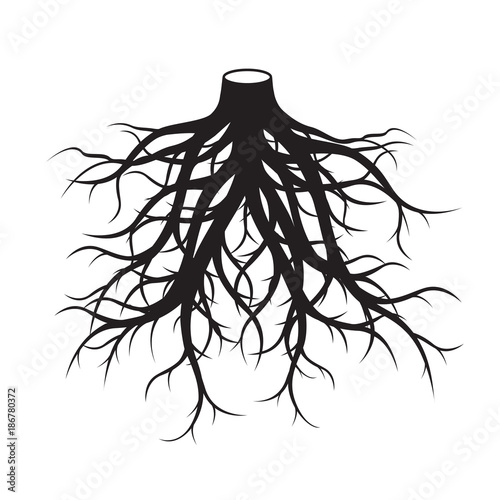 Black Roots Tree. Vector Illustration.