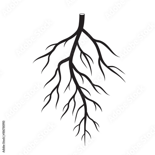 Black Roots Tree. Vector Illustration.